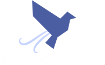 new-jav.callabitch.org
